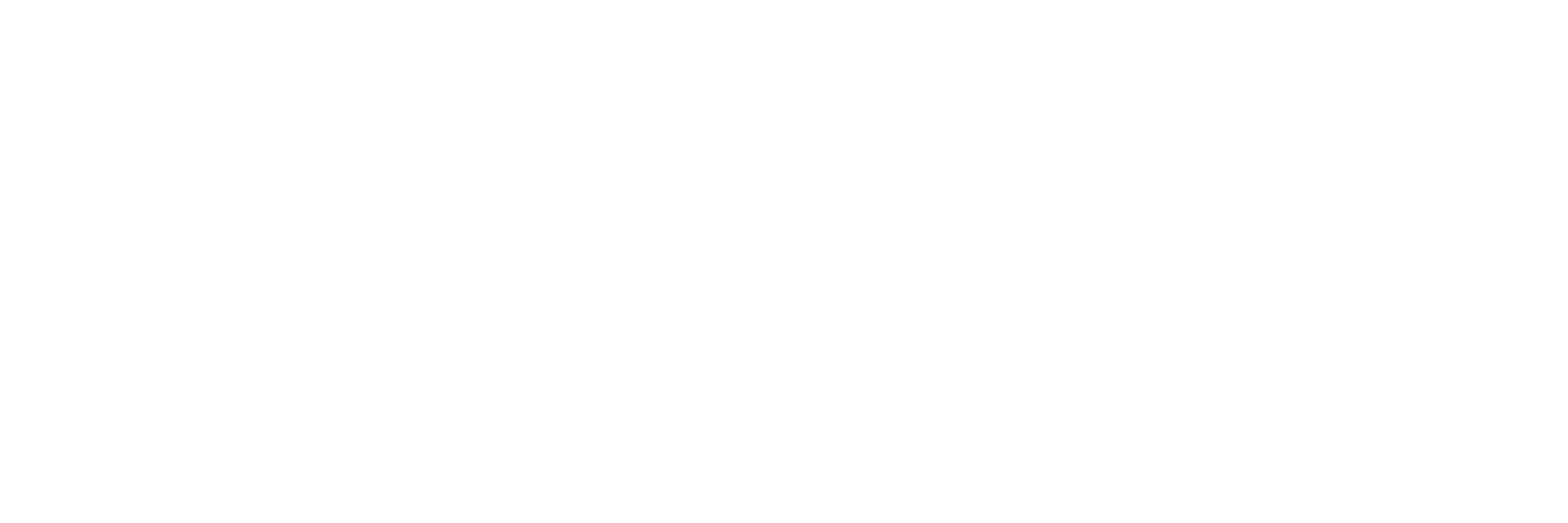 Özdemir Technology